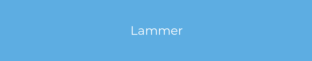 La imagen muestra un fondo azul con un texto centrado en letras blancas que muestra la palabra Lammer 