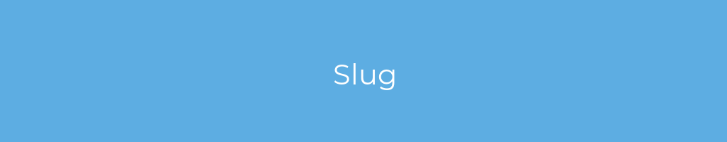La imagen muestra un fondo azul con un texto centrado en letras blancas que muestra la palabra Slug 