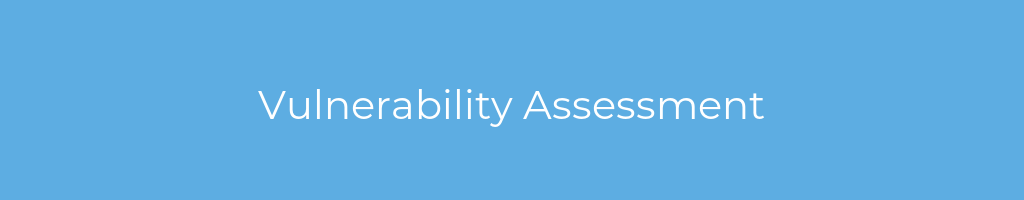 La imagen muestra un fondo azul con un texto centrado en letras blancas que muestra la palabra Vulnerability Assessment 