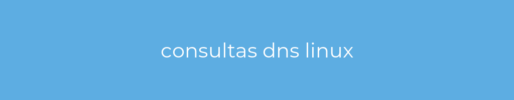 La imagen muestra un fondo azul con un texto centrado en letras blancas que muestra la palabra consultas dns linux 